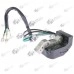 Stator aprindere generator 2 timpi - Plastic negru